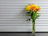 Life-of-Pix-free-stock-photos-Flower-Vase-Xeromatic_R